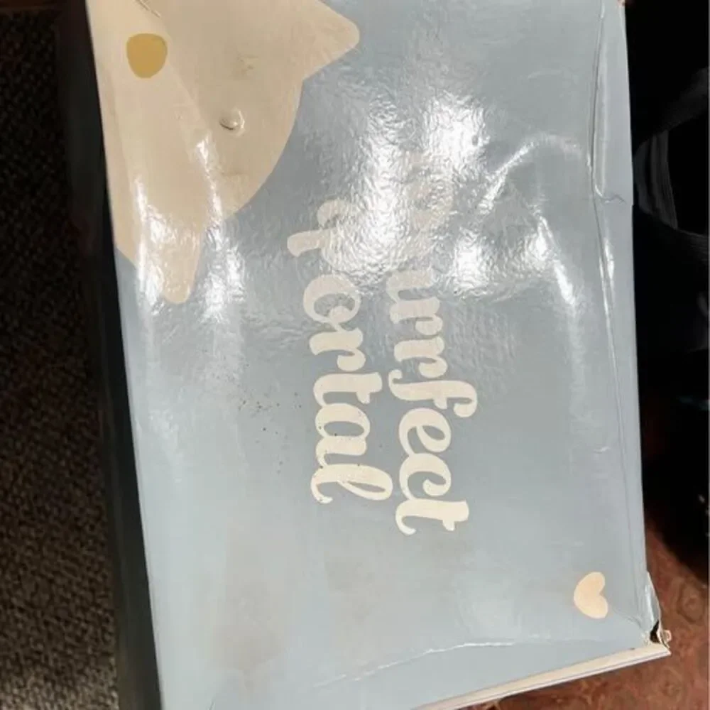 xl cat door
